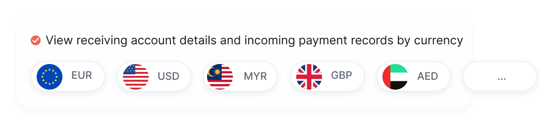 View receiving account details and incoming payment records by currency